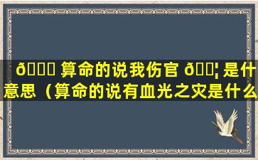 🐈 算命的说我伤官 🐦 是什么意思（算命的说有血光之灾是什么意思）